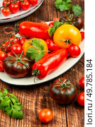 Assorted heirloom tomatoes on a rustic wooden table. Ripe tomatoes on rustic wooden background. Стоковое фото, агентство Ingram Publishing / Фотобанк Лори