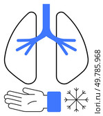 Human lungs with blue airways, a hand, and a snowflake. Ideal for cold weather effects, respiratory health, anatomy, breathing, winter frostbite medical studies. Line metaphor. Human Respiratory System with Elements of Cold Sensation Lungs, Hand, Snowflake Metaphor. Стоковая иллюстрация, агентство Ingram Publishing / Фотобанк Лори