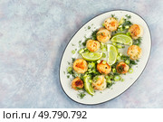 Scallops plated elegantly with a basil creamy sauce. Copy space. Space for text.. Seafood, roasted scallops. Стоковое фото, агентство Ingram Publishing / Фотобанк Лори