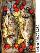 Roasted or steamed whole sea bream fish or dorado with tomatoes. Food and natural seafood.. Dorado or sea bream baked with tomatoes. Стоковое фото, агентство Ingram Publishing / Фотобанк Лори