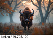 A majestic American bison, its brown fur glistening with dew, standing regally in the middle of a mysterious autumn forest, shrouded in a thick layer of fog, Стоковое AI-изображение, AI-художник Александр Поташев / Фотобанк Лори