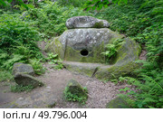 Сочи, Лазаревское. Дольмен "Берендей" в селе Мамедова Щель. Стоковое фото, фотограф Иван Аборнев / Фотобанк Лори