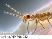A focused close-up of delicate miniature insect antennae, showing intricate details, textures and mesmerizing colors, in soft, diffused lighting that highlights delicate protrusions, tiny hairs. Стоковое AI-изображение, AI-художник Александр Поташев / Фотобанк Лори