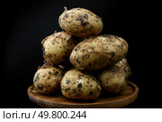 Картофелины. Стоковое фото, фотограф Юлия Зырянова / ТАСС / Фотобанк Лори