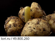 Картофелины. Стоковое фото, фотограф Юлия Зырянова / ТАСС / Фотобанк Лори