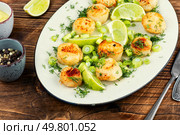 Scallops plated elegantly with a basil creamy sauce. Sea scallop fresh seafood fried. Seafood, roasted scallops. Стоковое фото, агентство Ingram Publishing / Фотобанк Лори