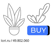 Potted plants with leaves beside a large blue BUY button. Ideal for online shopping, e-commerce, plant stores, digital marketing, retail websites, home gardening apps, purchase prompts. Line metaphor. Online Shopping for Plants with Purchase Button for e-Commerce Platforms. Стоковая иллюстрация, агентство Ingram Publishing / Фотобанк Лори