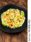 Scallops plated elegantly with a basil creamy sauce. Sea scallop fresh seafood fried. Seafood, roasted scallops. Стоковое фото, агентство Ingram Publishing / Фотобанк Лори