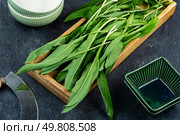 Ramps, green wild leeks. Fresh ramsons leaves.. A bunch of wild onion or Ramps on the table. Стоковое фото, агентство Ingram Publishing / Фотобанк Лори
