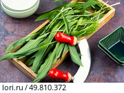 Fresh ramsons leaves. Wild Leeks (Ramps or wild onions). Gourmet vegetarian.. Wild Spring Ramps. Стоковое фото, агентство Ingram Publishing / Фотобанк Лори