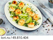 A plated dish of sea scallops garnished with fresh lime and drizzled with basil sauce.. Fried scallops with sauce. Стоковое фото, агентство Ingram Publishing / Фотобанк Лори