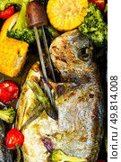 Dish of fried dorado fish with boiled broccoli, corn and asparagus. Seafood skewers, food background. Food photography. Roasted Dorada fish with vegetables. Стоковое фото, агентство Ingram Publishing / Фотобанк Лори
