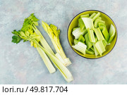 Vegan cuisine - raw celery stem. Nutritious vegetable. Sliced fresh celery or Celery stalk. A fresh crisp celery stalk. Стоковое фото, агентство Ingram Publishing / Фотобанк Лори