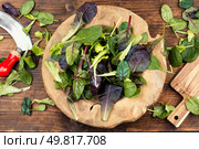 Fresh green salad with spinach,arugula,romaine and lettuce in rustic wooden bowl.. Fresh vibrant green salad. Стоковое фото, агентство Ingram Publishing / Фотобанк Лори