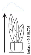 Potted plant with sweeping leaves reaching towards a cloud. Arrow signifies growth ambition, and progress. Ideal for themes thumbs up aspiration, nature, goals, dreams, potential, motivation. Growth and Aspiration Potted Plant Reaching Towards the Sky. Стоковая иллюстрация, агентство Ingram Publishing / Фотобанк Лори