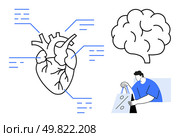 Anatomical heart diagram with labeled points, brain outline, person holding shopping bags. Ideal for health, anatomy, education, neuroscience, shopping habits lifestyle medical presentations. Line. Anatomical Heart Diagram with Brain Outline and Person Shopping with Bags. Стоковая иллюстрация, агентство Ingram Publishing / Фотобанк Лори