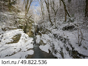 Агурское ущелье зимой. Пещера и Чёртова купель в снегу. Стоковое фото, фотограф Иван Аборнев / Фотобанк Лори