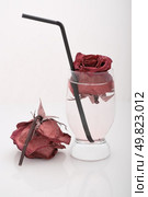 withered red rose in a glass. Beauty death flower. Стоковое фото, агентство Ingram Publishing / Фотобанк Лори