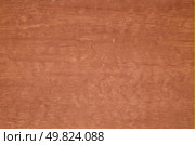 Part of a brown woodboard texture. Стоковое фото, агентство Ingram Publishing / Фотобанк Лори