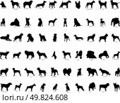 Big collection vector silhouettes of dogs with breeds description . Стоковая иллюстрация, агентство Ingram Publishing / Фотобанк Лори