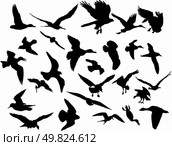 Vector illustrations black silhouettes birds on white. Стоковая иллюстрация, агентство Ingram Publishing / Фотобанк Лори