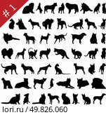 Set # 1 of different vector pets silhouettes for design use. Стоковая иллюстрация, агентство Ingram Publishing / Фотобанк Лори