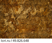 stone crackle texture. Стоковое фото, агентство Ingram Publishing / Фотобанк Лори