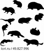 Collection of beaver and other rodents silhouettes. Vector illustration. Стоковая иллюстрация, агентство Ingram Publishing / Фотобанк Лори
