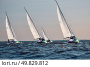 Russia, St.Petersburg, 01 June 2025: Sailing regatta in the Gulf of Finland at sunset, hot race of several yachts, teamwork, yachtsmen sitting on board the boat. Редакционное фото, фотограф Vladimir Drozdin / Фотобанк Лори