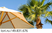beach umbrellas against the blue sky. Стоковое фото, фотограф Igor Skripachev / Фотобанк Лори
