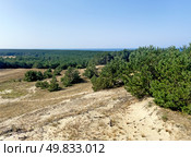 The Courish Split or Curonian Spit, Kaliningrad region, Russia (2024 год). Редакционное фото, фотограф Татьяна Кахилл / Фотобанк Лори