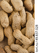 Close-up of some peanuts. background. Стоковое фото, агентство Ingram Publishing / Фотобанк Лори
