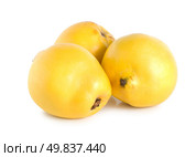 Three quinces isolated on a white background. Стоковое фото, агентство Ingram Publishing / Фотобанк Лори