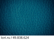 Blue leather texture closeup detailed background. Стоковое фото, агентство Ingram Publishing / Фотобанк Лори