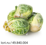 Brussel sprouts isolated on a white background. Стоковое фото, агентство Ingram Publishing / Фотобанк Лори