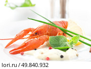 Red boiled crayfish with sauce and herbs. Стоковое фото, агентство Ingram Publishing / Фотобанк Лори