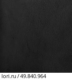 Natural qualitative black leather texture. Close up. Стоковое фото, агентство Ingram Publishing / Фотобанк Лори