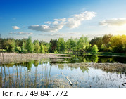 Wide river with duckweed in the forest at sunrise. Стоковое фото, агентство Ingram Publishing / Фотобанк Лори