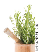 Green herb leafs sprigs in an wood mortar over white background. Стоковое фото, агентство Ingram Publishing / Фотобанк Лори
