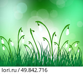 Summer meadow background with snowdrops. EPS 10 vector illustration with transparency and meshes. Стоковая иллюстрация, агентство Ingram Publishing / Фотобанк Лори
