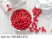 Red currant. Стоковое фото, агентство Ingram Publishing / Фотобанк Лори
