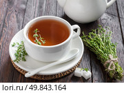 Thyme tea. Стоковое фото, агентство Ingram Publishing / Фотобанк Лори