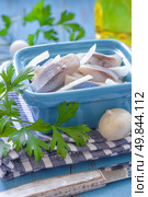 Herring. Стоковое фото, агентство Ingram Publishing / Фотобанк Лори