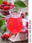 Cornel juice. Стоковое фото, агентство Ingram Publishing / Фотобанк Лори