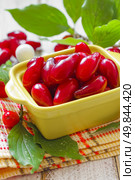 Cornus. Стоковое фото, агентство Ingram Publishing / Фотобанк Лори