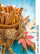 Cinnamon. Стоковое фото, агентство Ingram Publishing / Фотобанк Лори