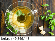 Mint tea. Стоковое фото, агентство Ingram Publishing / Фотобанк Лори