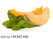 Juicy honeydew melon on a white background. Стоковое фото, агентство Ingram Publishing / Фотобанк Лори