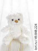 Teddy bear. Стоковое фото, агентство Ingram Publishing / Фотобанк Лори