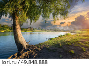 Osier and fog over calm river in the morning. Стоковое фото, агентство Ingram Publishing / Фотобанк Лори